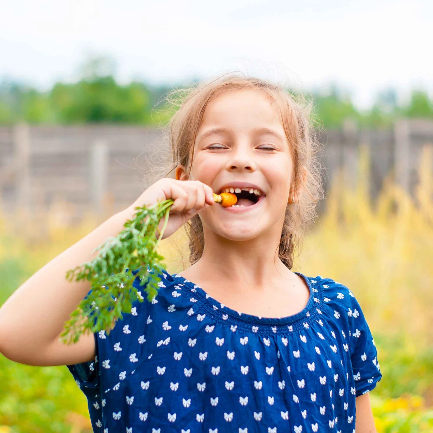 Carrot Seeds - Little Finger 2 Carrot Seeds - Little Finger - Image 2