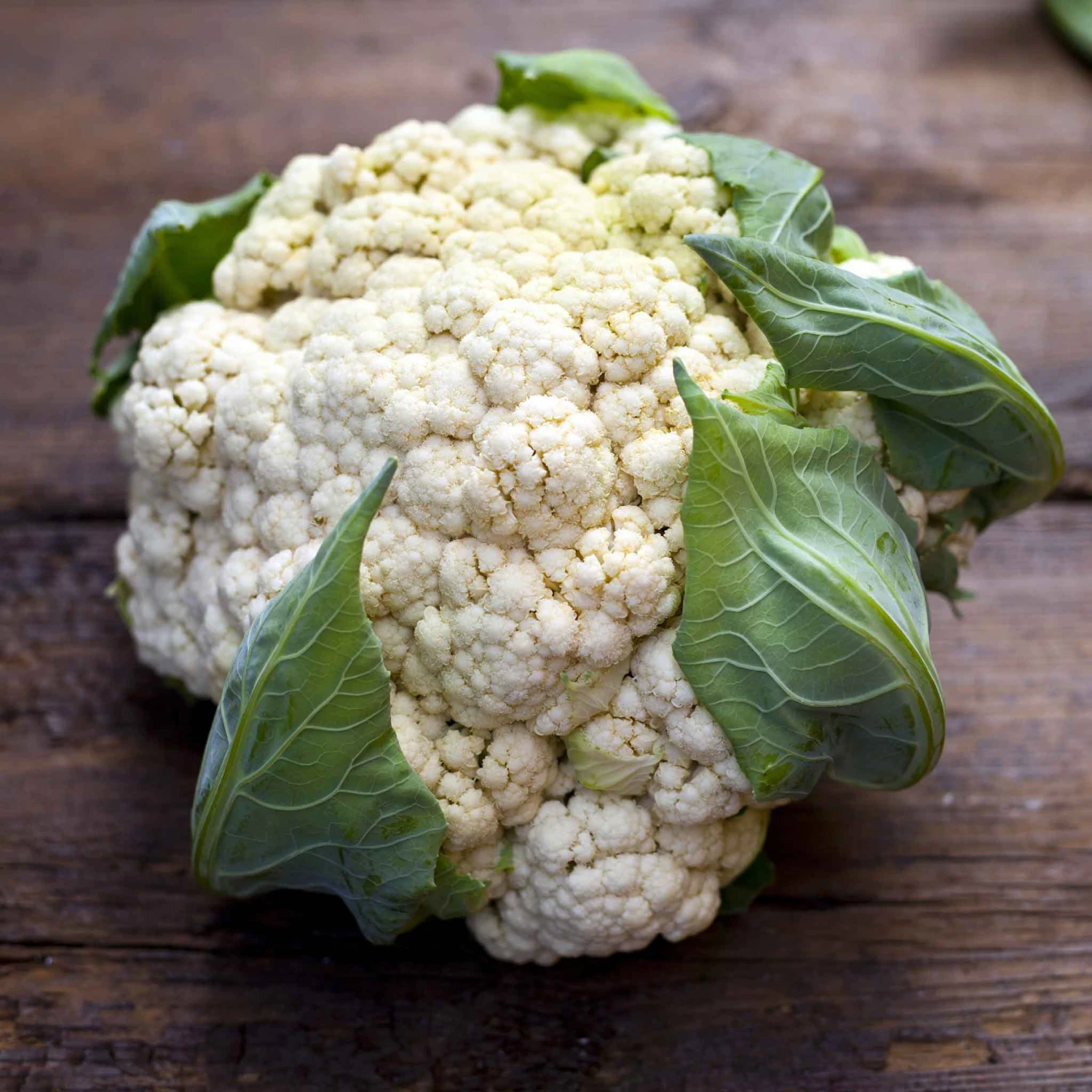 Cauliflower Seeds - Snowball Y Improved 1 Cauliflower Seeds - Snowball Y Improved