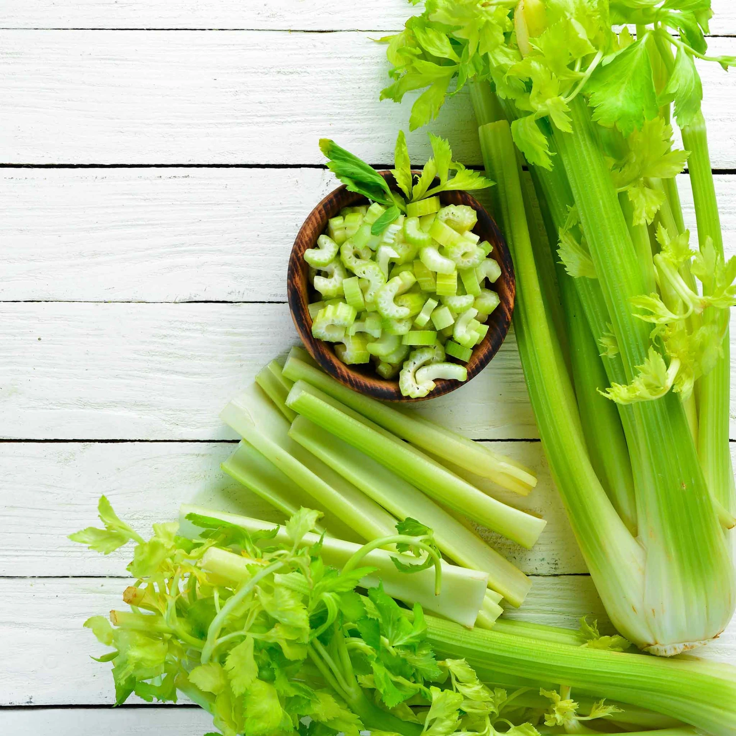 Celery Seeds - Tall Utah 52-70 1 Celery Seeds - Tall Utah 52-70