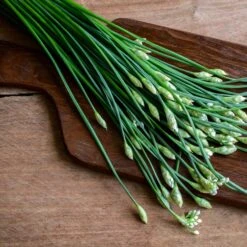 Chives Seeds - Garlic