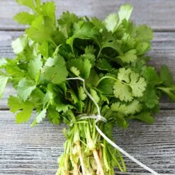 Cilantro/Coriander Seeds (Organic) - Long Standing