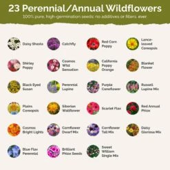 Connecticut Wildflower Seed Mix - 23 Variety Native Meadow Blend -Eden Brothers Shop connecticut SMREG145 st2