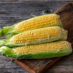 Corn Seeds - Golden Bantam 8 Row