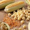Premium Popcorn Seeds – Grow and Harvest Your Own Movie Night Snacks