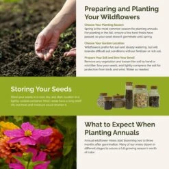 Cosmic Zen - Zinnia & Cosmos Flower Seed Mix -Eden Brothers Shop cosmic zen SMCAT124 st5