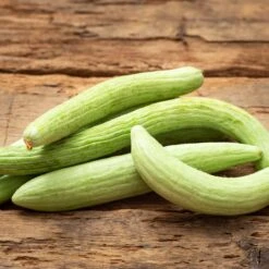 Armenian Pale Green Cucumber Seeds - Heirloom Serpent Cucumber