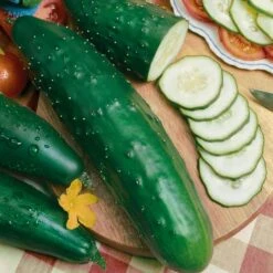 Ashley Heirloom Cucumber Seeds: High-Yield Mildew Resistant Slicer