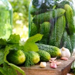 National Pickling Cucumber Seeds - Heirloom Variety for Canning and Salads