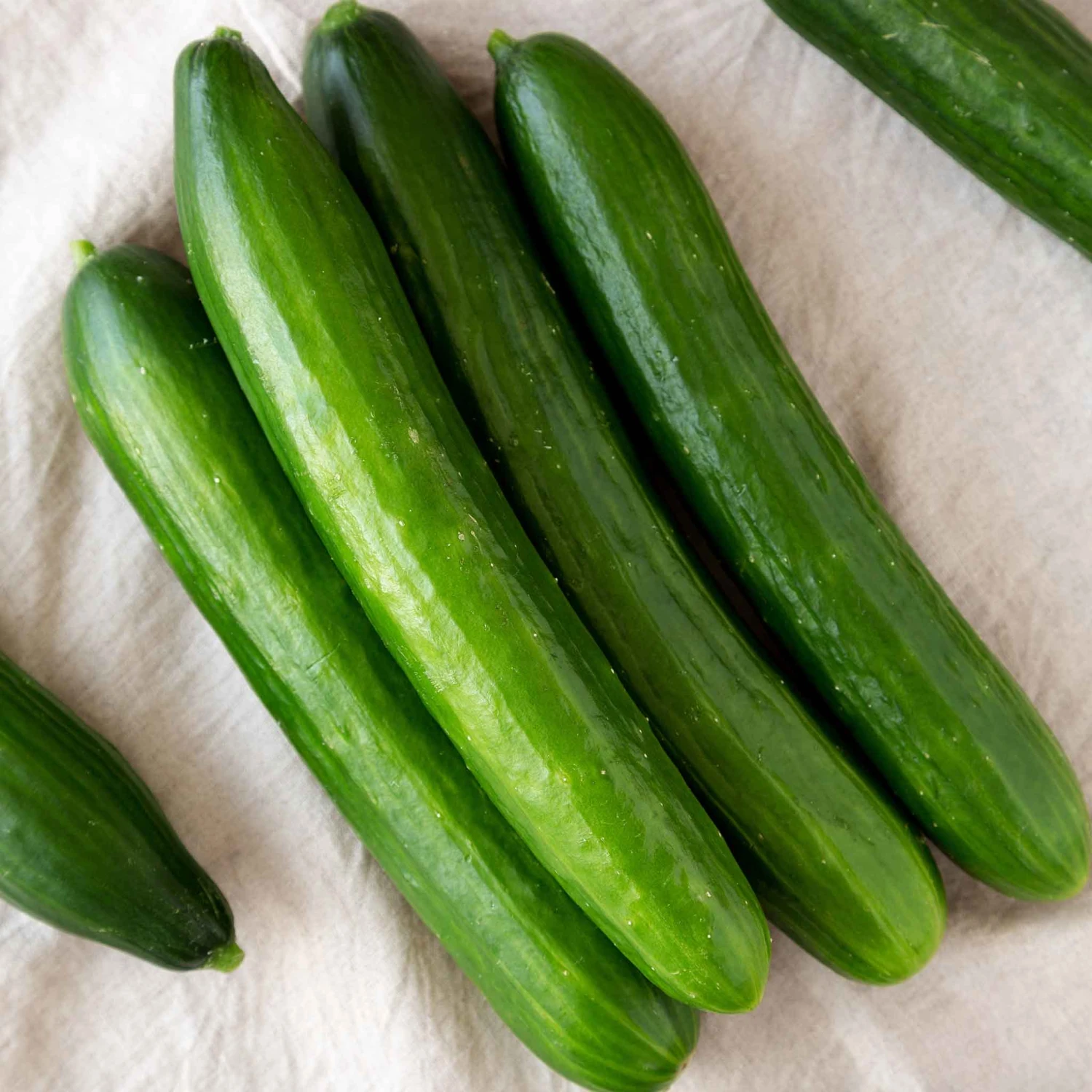 Cucumber Seeds - Tasty Green 1 Cucumber Seeds - Tasty Green