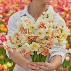 Double Take Daffodil Mix - Vibrant Mid-Spring Flowering Bulbs