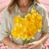 Ferris Wheel Daffodil Bulbs: Extra Large Orange & Yellow Blooms