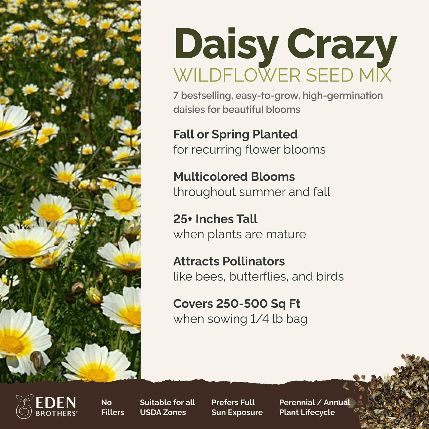 Vibrant Daisy Flower Seed Mix - Premium Wildflower Garden Blend 2 Vibrant Daisy Flower Seed Mix - Premium Wildflower Garden Blend - Image 2