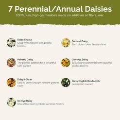 Vibrant Daisy Flower Seed Mix - Premium Wildflower Garden Blend 6 Vibrant Daisy Flower Seed Mix - Premium Wildflower Garden Blend -Eden Brothers Shop daisy crazy SMISP114 st2
