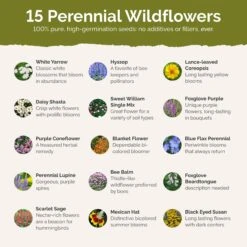 Deer Resistant All Perennial Wildflower Seed Mix 6 Deer Resistant All Perennial Wildflower Seed Mix -Eden Brothers Shop deer res all per SMSPU128 st2