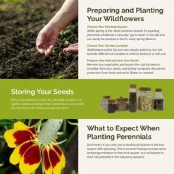 Deer Resistant All Perennial Wildflower Seed Mix 7 Deer Resistant All Perennial Wildflower Seed Mix -Eden Brothers Shop deer res all per SMSPU128 st5