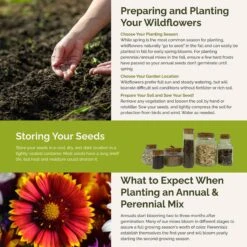 Deer Resistant Wildflower Seed Mix -Eden Brothers Shop deer resistant SMSPU112 st5 b09ac5c2 084a 4b9c 9978 46b8641831f9