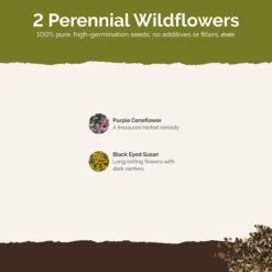 Dynamic Duo - Echinacea & Black Eyed Susan Mix -Eden Brothers Shop dynamic duo SMCAT131 st2