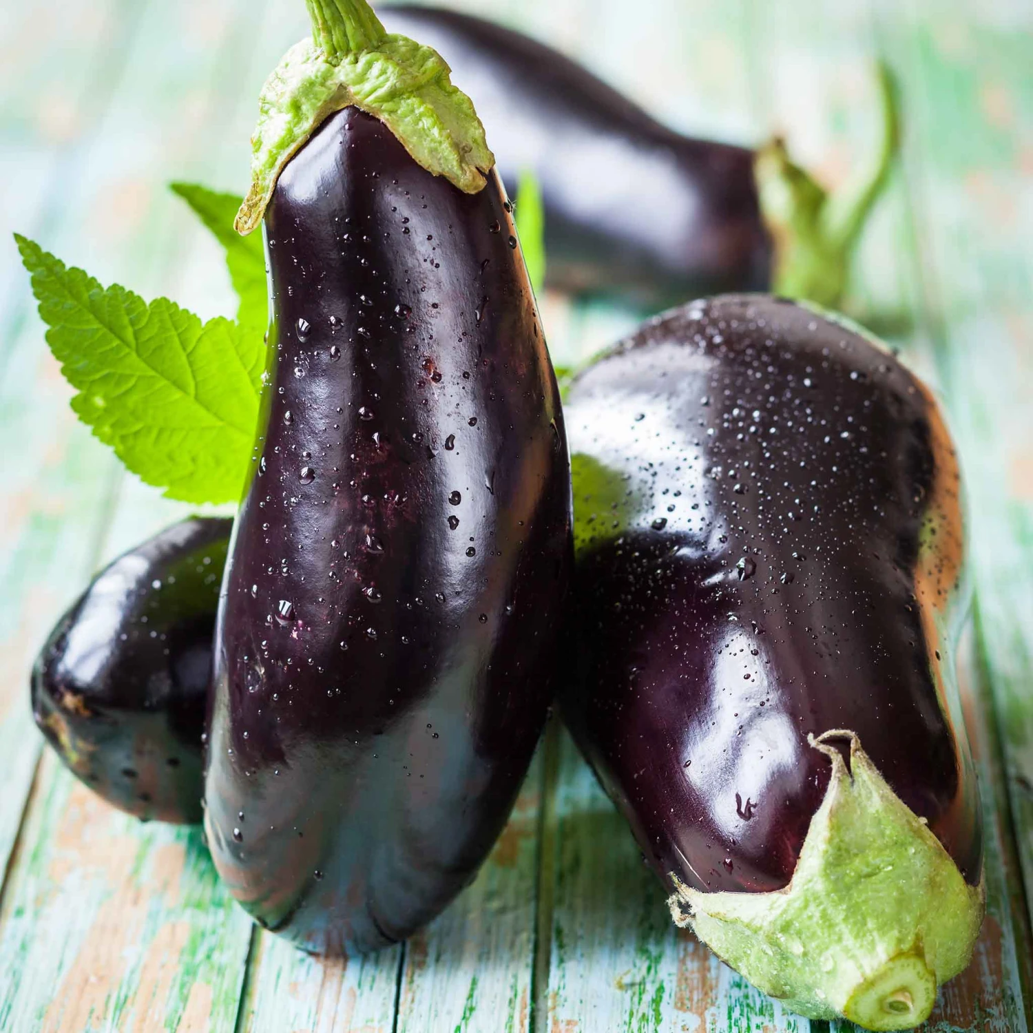 Eggplant Seeds - Black Beauty 1 Eggplant Seeds - Black Beauty