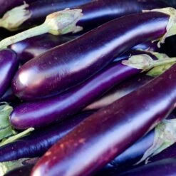 Long Purple Eggplant Seeds - Heirloom Non-GMO Vegetable Seeds for Home Gardening
