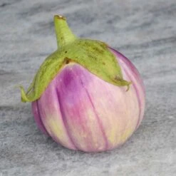 Rosa Bianca Heirloom Eggplant Seeds - Non-GMO Vegetable Seeds for Gardening