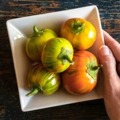 Turkish Orange Heirloom Eggplant Seeds - Sweet & Creamy 3-Inch Fruit