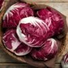 Rossa Di Verona Radicchio Seeds - Premium Heirloom Italian Chicory