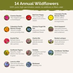 Fairytale Flower Seed Mix 8 Fairytale Flower Seed Mix -Eden Brothers Shop fairytale SMCAT118 st2
