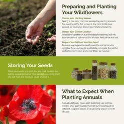 Fairytale Flower Seed Mix 9 Fairytale Flower Seed Mix -Eden Brothers Shop fairytale SMCAT118 st5