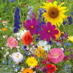 Fairytale Flower Seed Mix