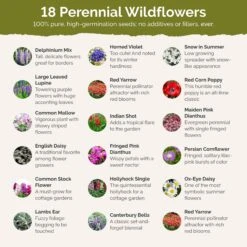 First Year Flowering Perennial Wildflower Seed Mix for Fast-Growing Gardens -Eden Brothers Shop first year perennial SMSPU130 st2 fbe09f00 00e3 40c9 b8a5 1542cb05a1bb