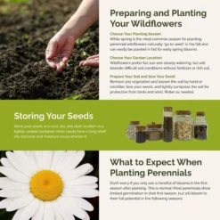 First Year Flowering Perennial Wildflower Seed Mix for Fast-Growing Gardens -Eden Brothers Shop first year perennial SMSPU130 st5