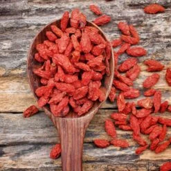 Goji Berry Seeds