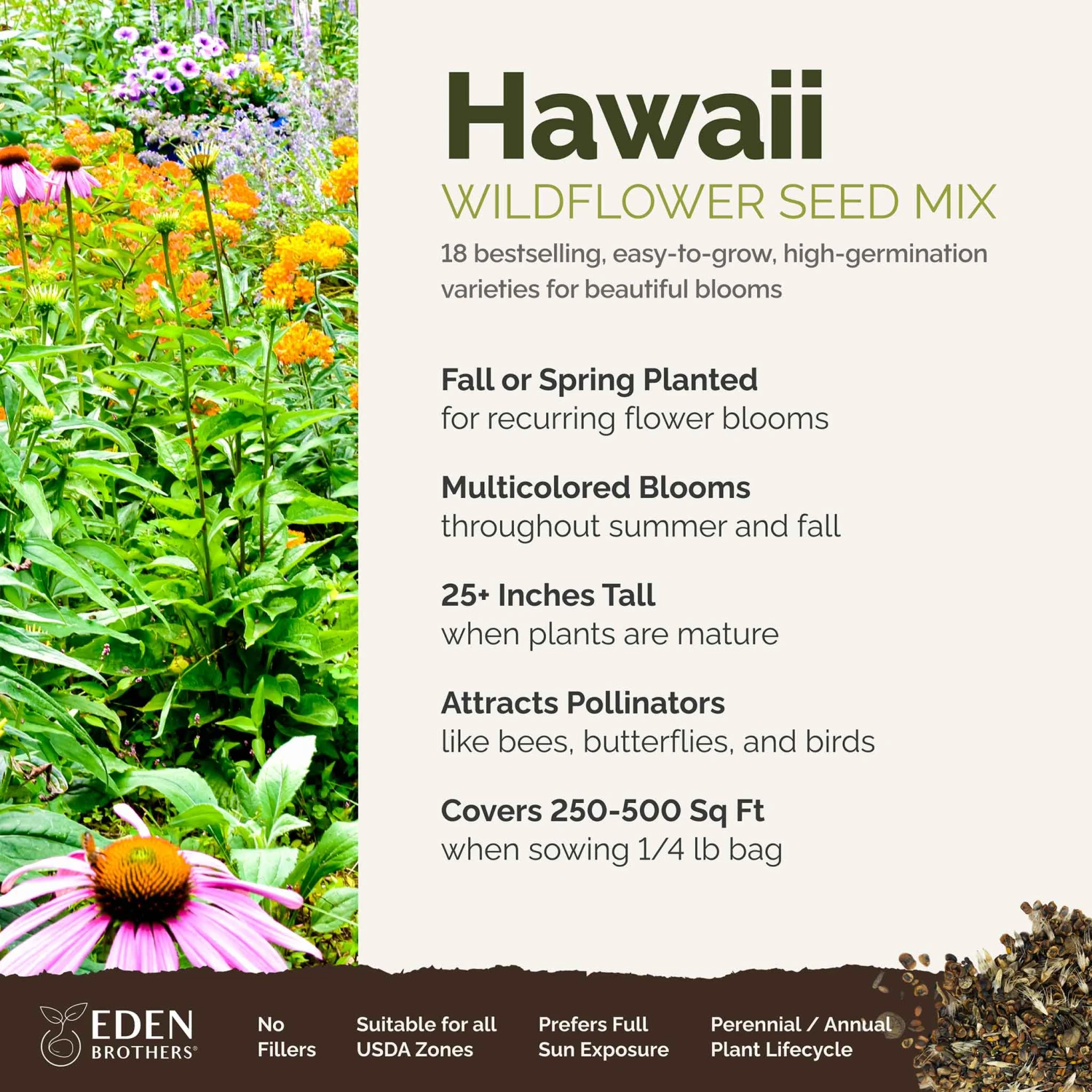 Hawaii Wildflower Seed Mix: 18 Vibrant Varieties for Your Home Meadow 2 Hawaii Wildflower Seed Mix: 18 Vibrant Varieties for Your Home Meadow - Image 2