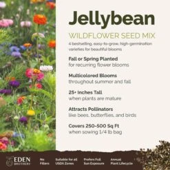 Jellybean Flower Seed Mix 7 Jellybean Flower Seed Mix -Eden Brothers Shop jellybean SMSPU127 qb3 st1