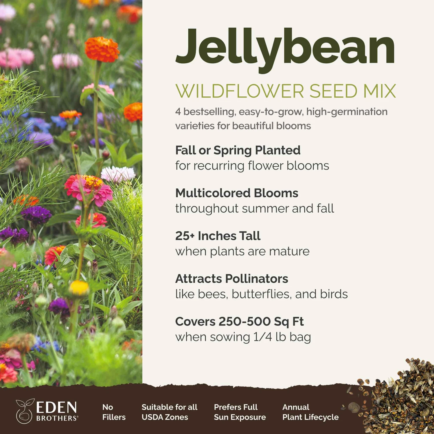 Jellybean Flower Seed Mix 3 Jellybean Flower Seed Mix - Image 3
