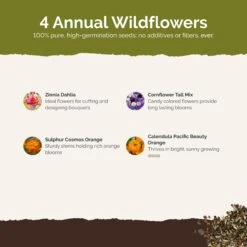 Jellybean Flower Seed Mix 8 Jellybean Flower Seed Mix -Eden Brothers Shop jellybean SMSPU127 st2