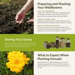 Jellybean Flower Seed Mix 9 Jellybean Flower Seed Mix -Eden Brothers Shop jellybean SMSPU127 st5