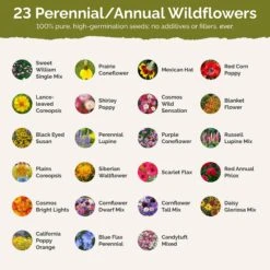 Kansas Wildflower Seed Mix for Pollinators and Vibrant Landscapes -Eden Brothers Shop kansas SMREG136 st2
