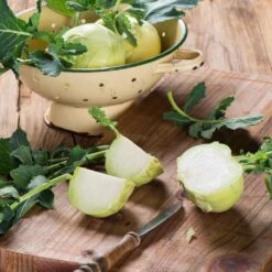 Heirloom White Vienna Kohlrabi Seeds - Cold Hardy Vegetable