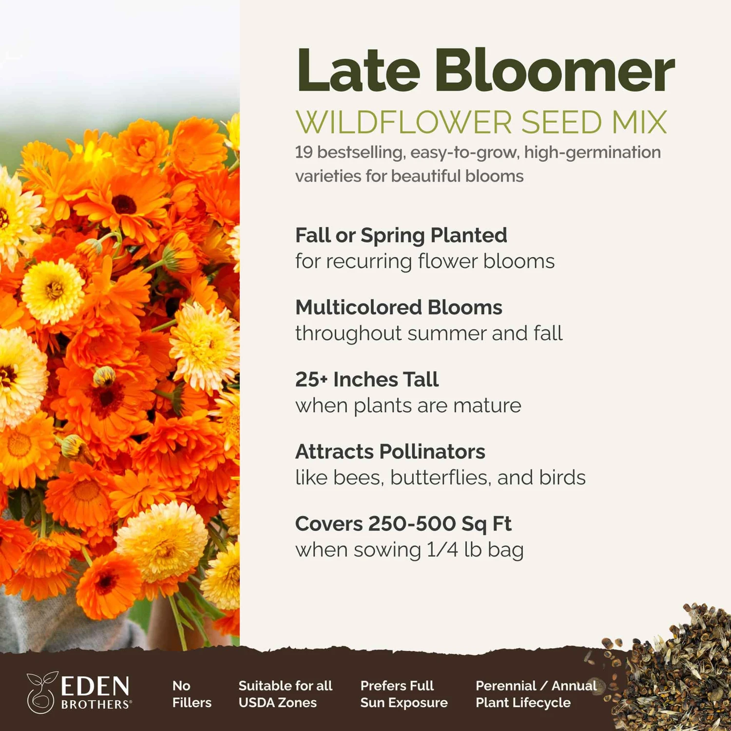 Late Bloomer - Fall Blooming Wildflower Seed Mix 2 Late Bloomer - Fall Blooming Wildflower Seed Mix - Image 2