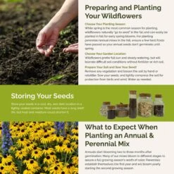 Late Bloomer - Fall Blooming Wildflower Seed Mix 7 Late Bloomer - Fall Blooming Wildflower Seed Mix -Eden Brothers Shop late bloomer SMSPU117 st5