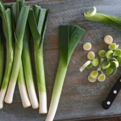Leek Seeds - Early Giant
