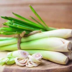 Lemongrass Seeds - West Indian