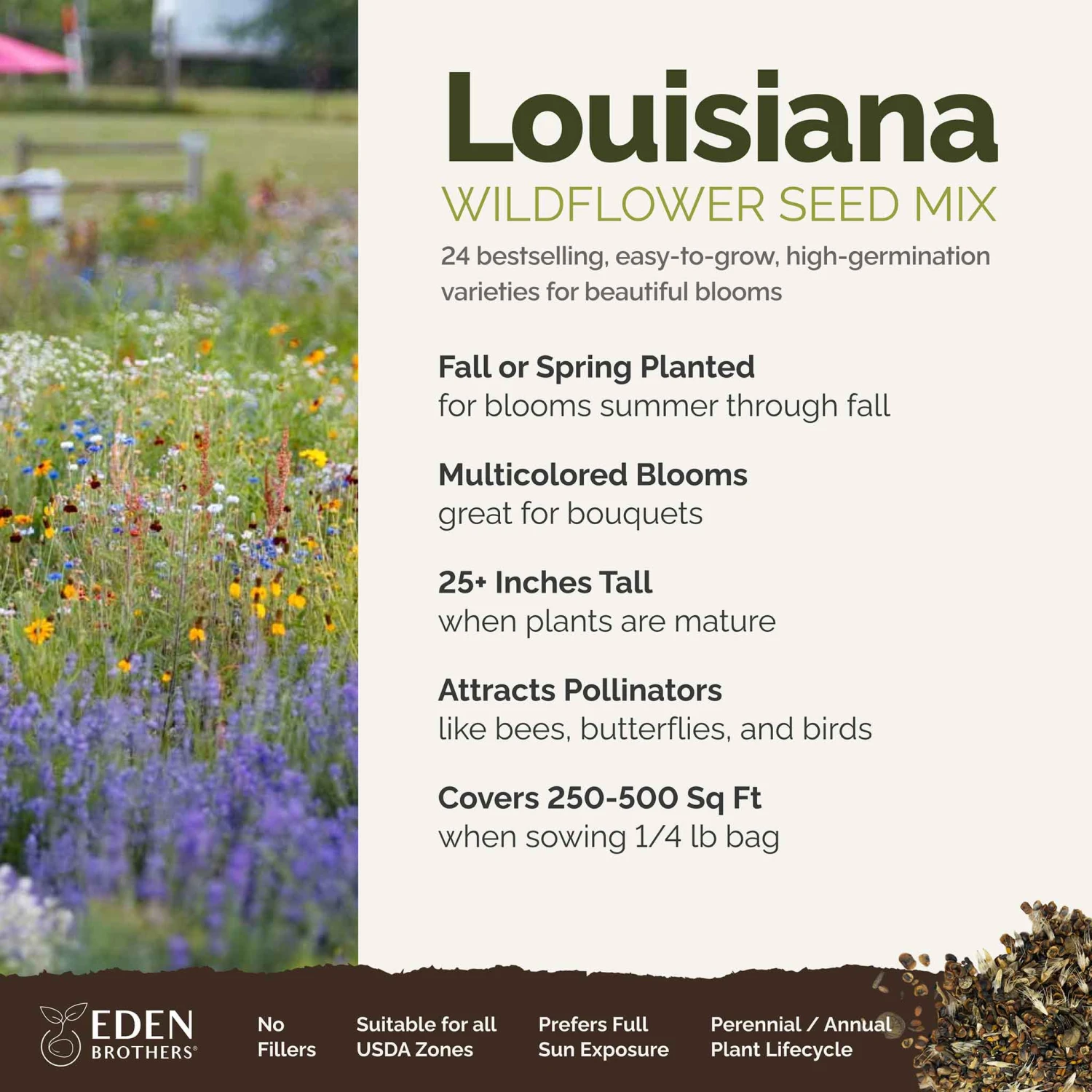 Louisiana Wildflower Seed Mix 2 Louisiana Wildflower Seed Mix - Image 2