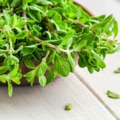 Marjoram Seeds - Sweet