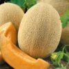 Ananas Melon Seeds - Rare 1800s Heirloom Sweet Muskmelon Seeds