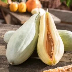 Banana Melon Seeds - Unique Heirloom Variety for Home Gardens