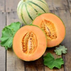Sweet Honeydew Orange Melon Seeds for Home and Market Gardens