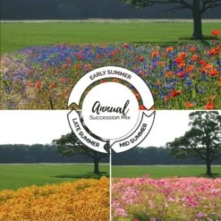 Endless Summer Annual Succession Mix - Continuous Blooms All Season