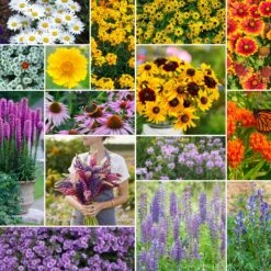 Northeast All Perennial Wildflower Seed Mix